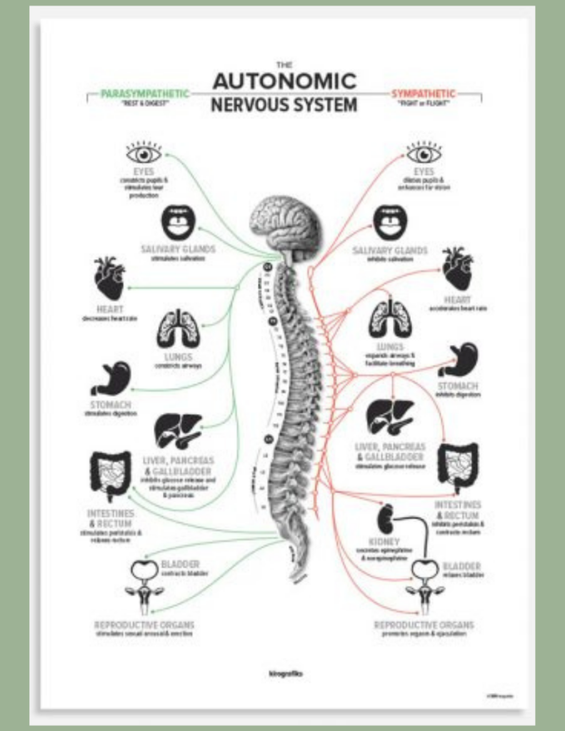 Wellness with Chiropractic | Prescott Family Chiropractic